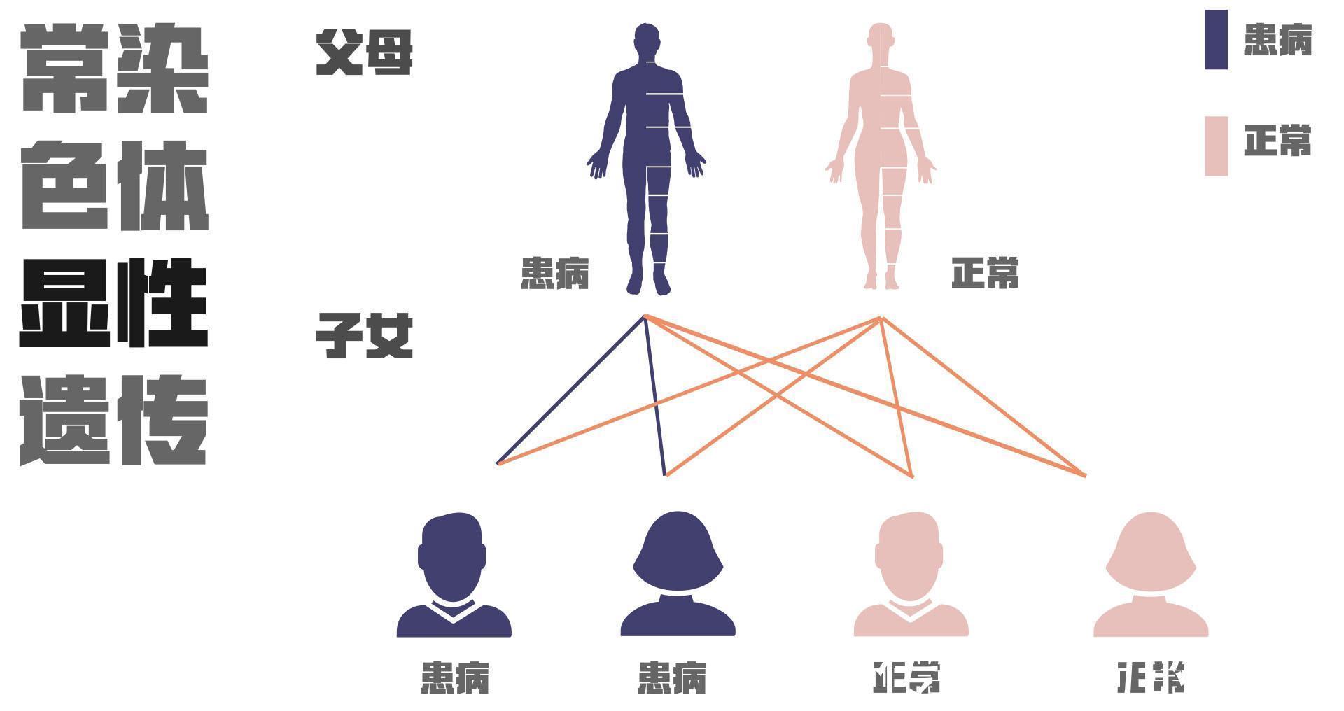 哪些行为影响赠卵试管婴儿后的成功率赠卵试管婴儿后可以熬夜吗？