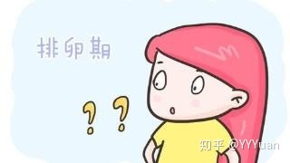 福建借卵做试管婴儿的费用可以用医保报销吗？