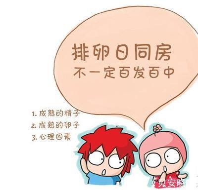 谢娜这次真的怀的是龙凤胎？有人说是借精供卵