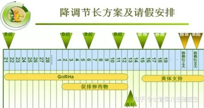 什么是第一代供卵试管婴儿什么是第二代供卵试管婴儿？