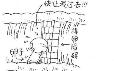 做供卵代生医院是如何形成的做供卵借卵代怀试管可能出现什么问题
