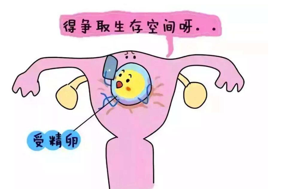 精子库的精子来源(库捐赠的流程)