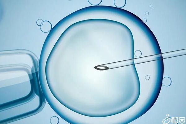 试管代怀的方式生殖免疫抗体_免疫性不孕可以试管吗健康