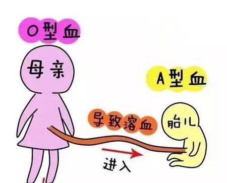 2024福建代怀男孩套餐医院大全,看哪家