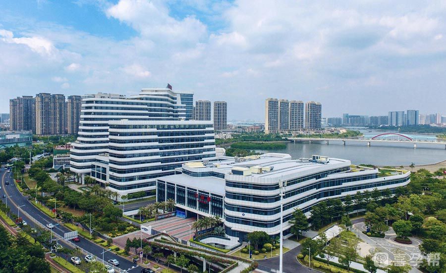56岁试管生了一对龙凤胎