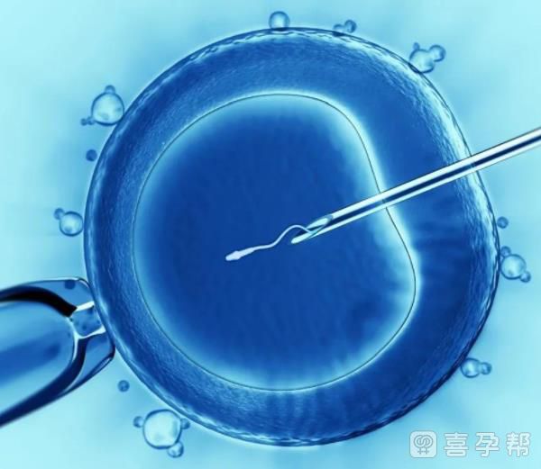 第二代供卵助孕公司需要取卵吗